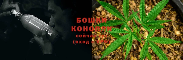 ешки Алзамай