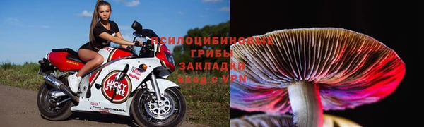 ешки Алзамай