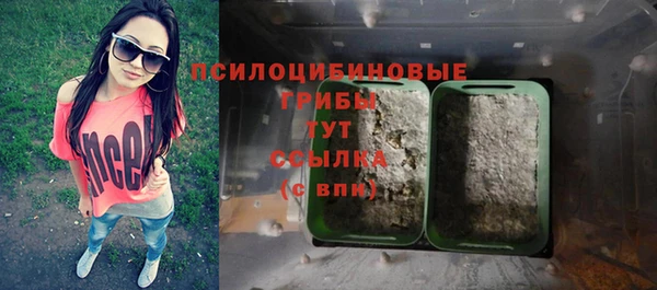 ешки Алзамай