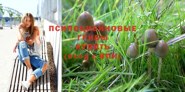 герыч Алексин