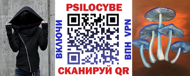ОМГ ОМГ tor  Менделеевск  Галлюциногенные грибы Psilocybine cubensis 